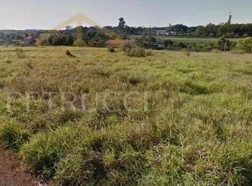706038d00fcc2490c88dbc9c15e684a06a75f8ed · Terreno Residencial à venda, Jardim dos Calegaris, Paulínia - TE3157.