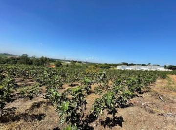 e165f56c7dc35d567a2d5bc276da041c381cd0db · Área, 45500 m² - venda por R$ 4.880.000,00 ou aluguel por R$ 4.916,67/mês - Jardim São Domingos - Ca