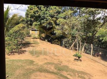 9cdf29716040f030c4aaa20d57add25595c82ec7 · Chácara com 2 dormitórios à venda, 3000 m² por R$ 550.000,00 - Distrito Industrial I Jose Marangoni 