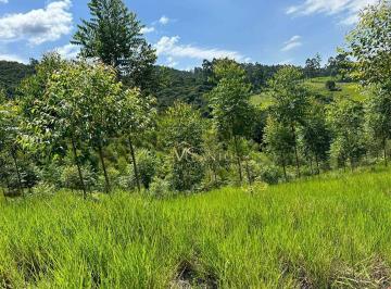 3f78ecbef4efae5f63baabfd1c312e22d1b67c70 · Fazenda à venda, 330000 m² por R$ 2.600.000,00 - Aratingauba - Imaruí/SC