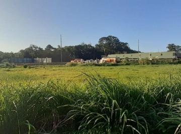 010e7a66756d6ddfc04ca0c3ff58ba46485663c6 · Terreno à venda, 8232 m² por R$ 13.994.000,00 - Vargem Grande - Florianópolis/SC
