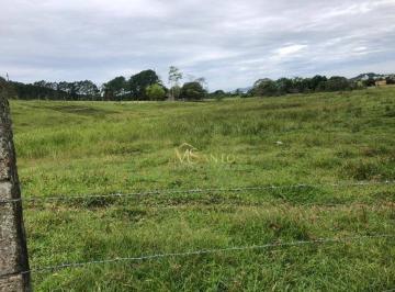 d2c39bcda1cd55294ed329c912b2dfe976c127e7 · Terreno à venda, 25200 m² por R$ 4.240.000,00 - Sertão do Maruim - São José/SC