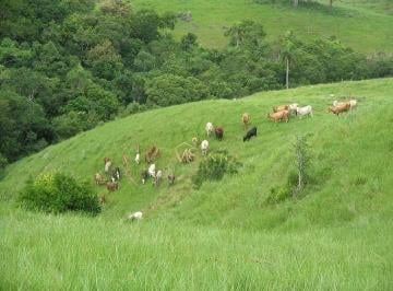 0f209cfc368afba27b644caafb1ee449bb437e9e · Fazenda à venda, 640000 m² por R$ 3.710.000,00 - Aratingauba - Imaruí/SC