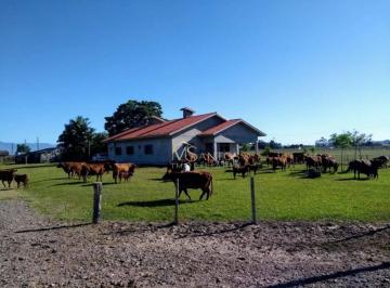 5693e8f70c82e39c40f4f4555f2e74b71d422ccf · Fazenda à venda, 3300000 m² por R$ 33.000.000,00 - Três Coqueiros - São João do Sul/SC
