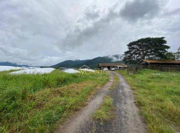 ff7c60722d6f544a674e8c85ce757dd00cd76f45 · Fazenda à venda, 830000 m² por R$ 10.600.000,00 - Paulo Lopes - Paulo Lopes/SC