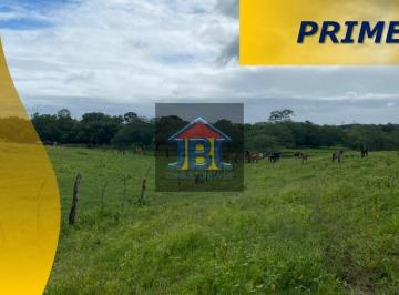 Rural · 23m² · Sitio com 23ha em Palmeira dos Índios