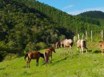 Rural · 17m² · 3 Quartos · 12 Vagas · Sitio 17 Alqueires 2 Casas, Represa na porta, Rio na propriedade, Lagoinha SP.