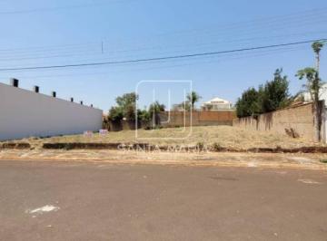 Terreno/Lote · Terreno (terreno normal)