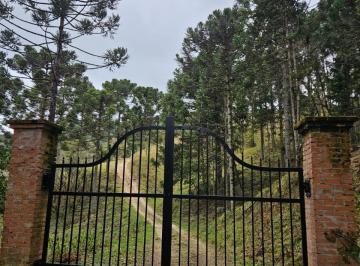 Foto 21 · Terreno, São Miguel, Campo Alegre, SC