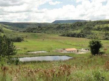 Foto 01 · FAZENDA A VENDA NA REGIÃO DE BOTUCATU - SP ??   Aptidão: Pecuária de Corte   Área Total: 100 Alqueir