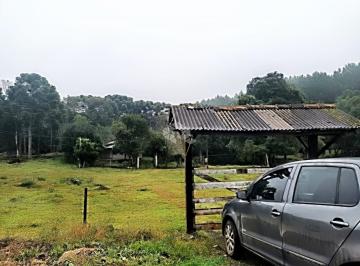 698149_iQR8gCXhx51bL7_6981496840551f92bb6.jpg · Sítio em Canela com 2,6 hectares