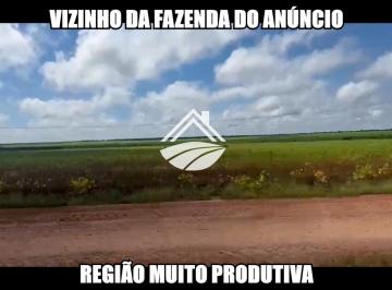 202506042100147168.png · Fazenda para Venda em Caxias, ampla expansão agropecuária