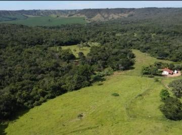 Rural de 4 quartos, Luziânia · Fazenda 20 Alqueires - 39 km Luziania - R$ 2.599.000 - Troca