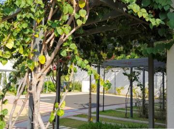 Foto 25 · Casa, Parque Xangrilá, Campinas, SP