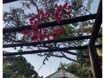 Rural de 6 quartos, Luziânia · Linda Chácara em Luziânia: Seu Paraíso Rural com Natureza Exuberante!