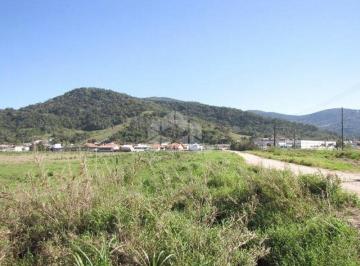 Terreno · 11821m² · Lote/Terreno em AUXILIADORA