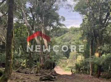 Terreno · 750m² · Lote em  Avenida Chimangos - Colinas - São Francisco de Paula/RS