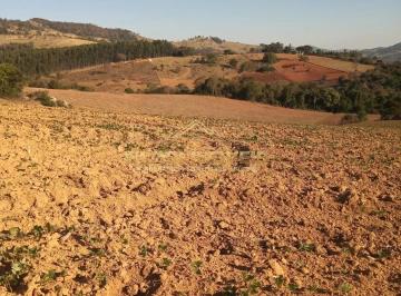 202408060959212001.jpg · Sítio para Venda em Socorro, rural