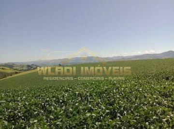 202408061001037055.jpg · Sítio para Venda em Socorro, rural