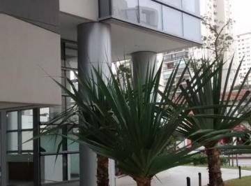 Comercial · 38m² · 1 Vaga · Ponto Comercial à Venda em Vila Cordeiro, São Paulo