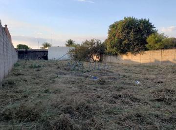 Terreno · 1300m² · Terreno, Vila São Guido, Pirassununga - R$ 550 mil, Cod: 10130400