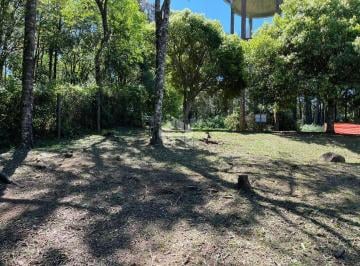 697058_iu24ElcNxP5jNXq_6970586835f1df42cf9.jpg · Terreno em Gramado Bairro Carazal
