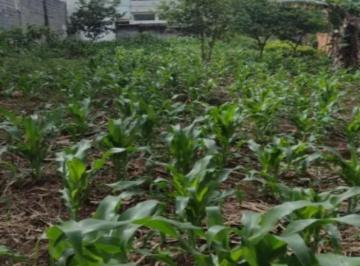 Terreno · 720m² · Terreno à venda no Jardim Bandeirantes com 720m²