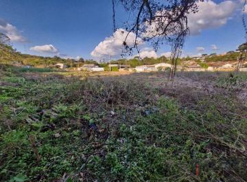 930ae8e82cdd3d9c5a3a5d39ff0a11ce3eb2d888 · Área à venda medindo 2663 m² por R$ 1.200.000 - Paloma - Colombo/PR