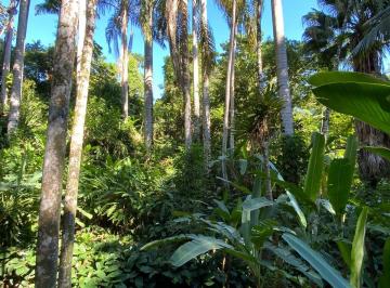 Casa de 7 quartos, Ilhabela · Casa + 4 chales em meio a natureza - Ilhabela - SP