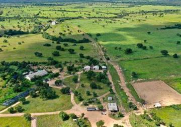 149665_181e1fa0-ef21-414c-a18d-6698552342db_lg.png · SETOR RURAL - FAZENDA BARREIRO DO ONÇA - TOCANTINS