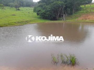 148366_c68c6c13-919c-45aa-9fd1-6e8fe2a91d7b_lg.jpg · Fazenda de 20 Alqueires em Iporá, Goiás - Fazenda de 20 Alqueires em Iporá, Goiás