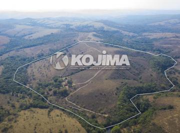 125519_6d9a0f19-d2f4-42da-8cab-a34bb5f99499_2x.jpg · fazenda km 31 - Fazenda 100 H em Edilândia Goiás.