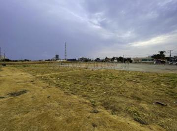 150475_472b697f-6fcb-4ab1-96fe-85a53e7197fc_lg.jpg · Quadra 1