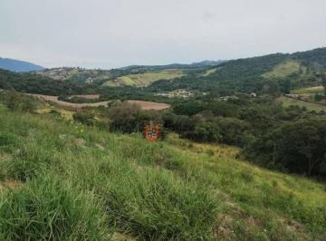 3725ff80242f8c41d438278c3ed435e51b1b0361 · Área à venda, 8000 m² por R$ 400.000,00 - Juncal - Extrema/MG
