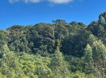 17aa3e1f672868043477968017b29e93d8c87e76 · Área à venda, 50000 m² por R$ 1.500.000,00 - Parelheiros - São Paulo/SP