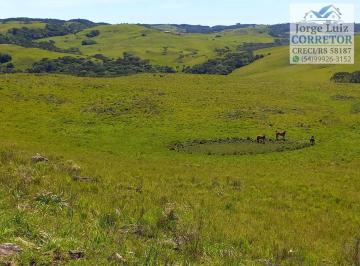 Rural , Caxias do Sul · Área de 425ha