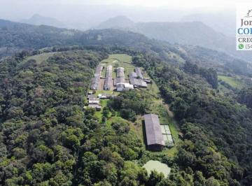 Rural , Picada Café · Área de 18ha em local alto