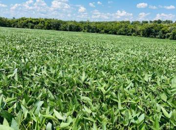Rural · 1136000m² · Fazenda Agricultavel em Rochedo MS – Escuta ...