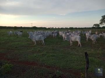 Rural · 7440000m² · Fazenda de Dupla Aptidao em Figueirao MS – A...