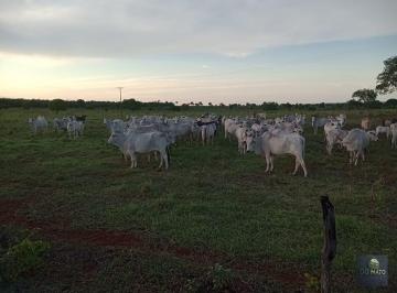Rural · 7440000m² · Fazenda de 930 hectares Dupla Aptidao em Figue...