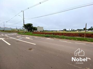 Foto 04 · Terreno comercial à venda em Cianorte-PR, 2.605,71 m² no bairro Pr 082, a 500 metros do trevo!