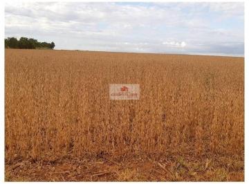 b3e850ca9b7f1513d9ed86962361c82e.jpg · Fazenda com 17000 hectares, 8300 hectares abertos