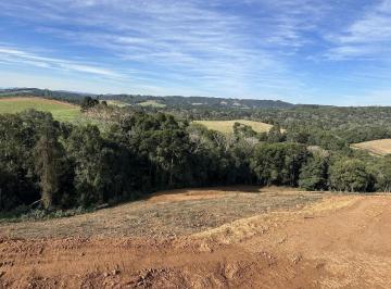 Foto 01 · Terreno, Fragosos, Campo Alegre, SC