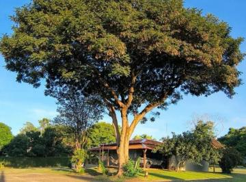 Casa de 3 quartos, Brasília · SMPW 17 - 2500 m² + 1600 m² (área verde) - Aceita permuta