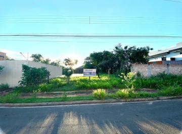 1744926075563.jpeg · Terreno à venda - na Vila Nascente