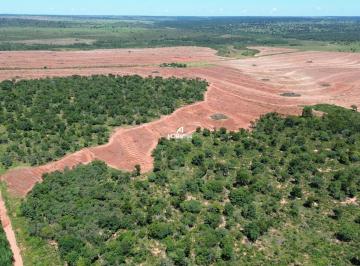 Rural · 331ha · Fazenda Produtiva com Renda de Eucalipto - Ribas do Rio Pardo/MS