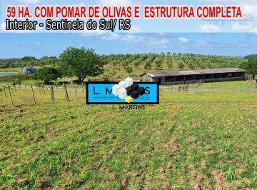 Rural · 59ha · Fazenda Área Rural em Sentinela do Sul RS Oliveiras, Lavoura, Pecuária