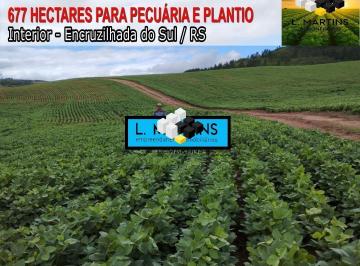 Rural · 677ha · Fazenda à venda em Encruzilhada do Sul - Fazenda no RS Sojá Pecuária