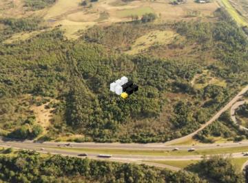 Rural · 40ha · Vende-se Fazenda, Área Rural em Montenegro 40 hectares RS