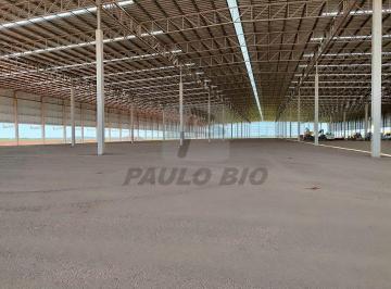 13842_i9l7I8H9O_1384269271e83a27fd.jpg · Comercial para aluguel - em Guaíba